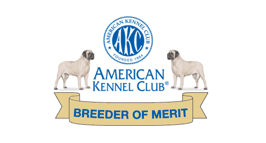 AKC Breeder of Merit