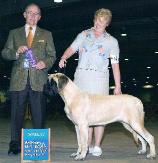 Blondie at 8 months.